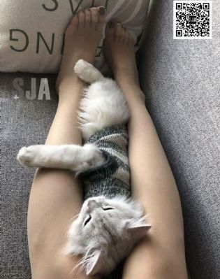 亚洲中文播放在线一区_4K影视在线观看